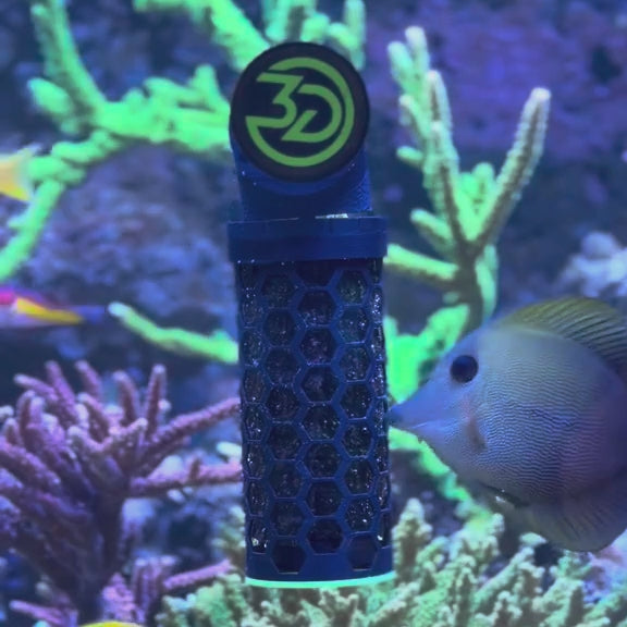 Tangs grazing on nori in the magnetic nori feeder in a reef aquarium.